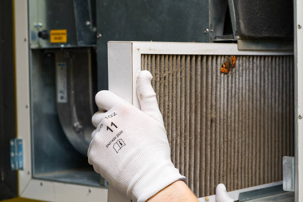 Ductwork Cleaning Services in Muleshoe, TX