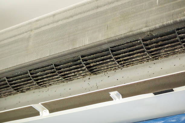 Best Ventilation Cleaning Services  in Muleshoe, TX