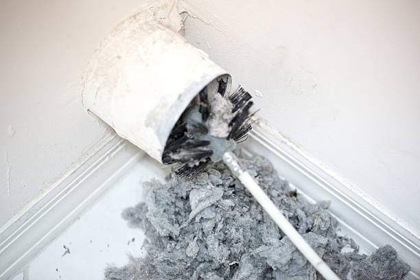 Best Local Air Duct Cleaning Services  in Muleshoe, TX